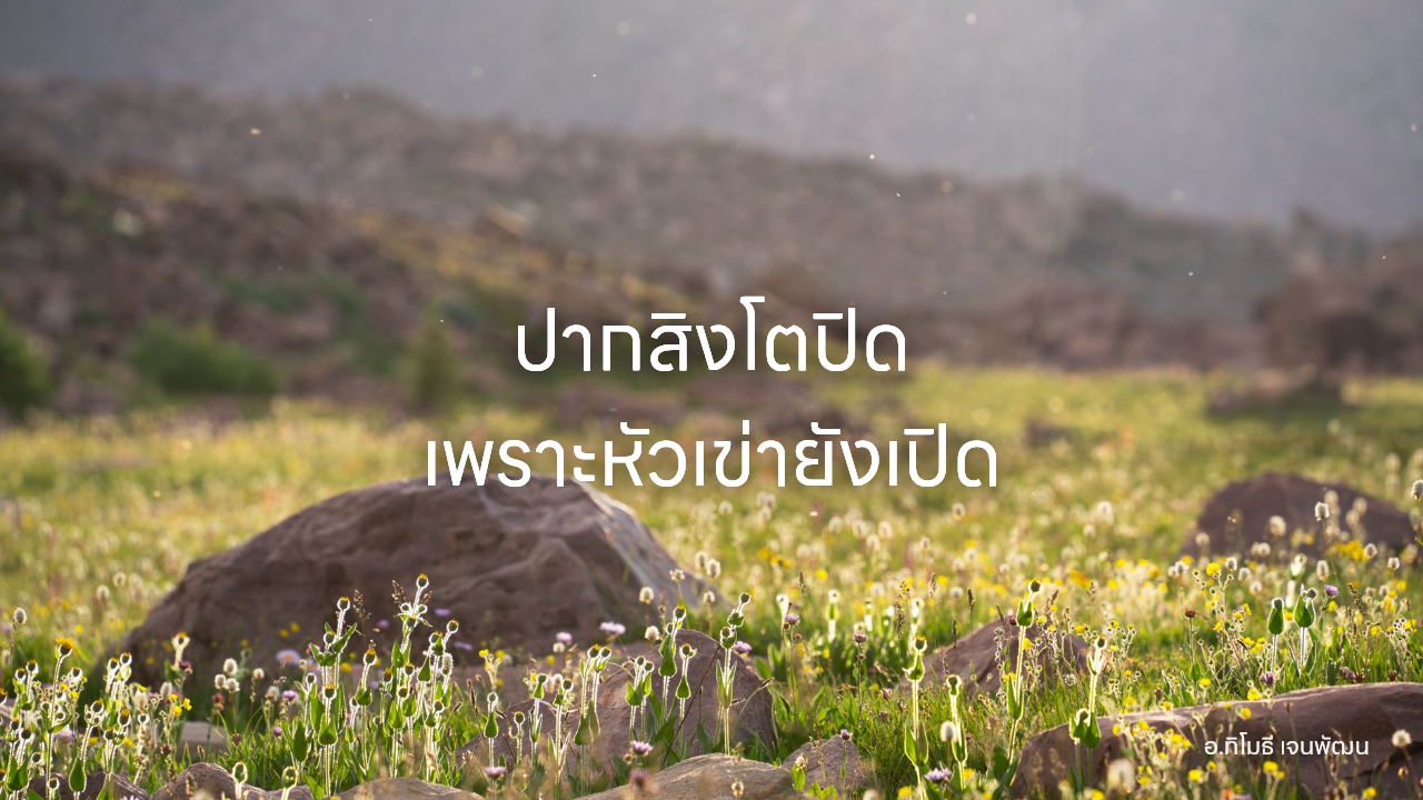 ปากสิงโตปิด เพราะหัวเข่ายังเปิด
